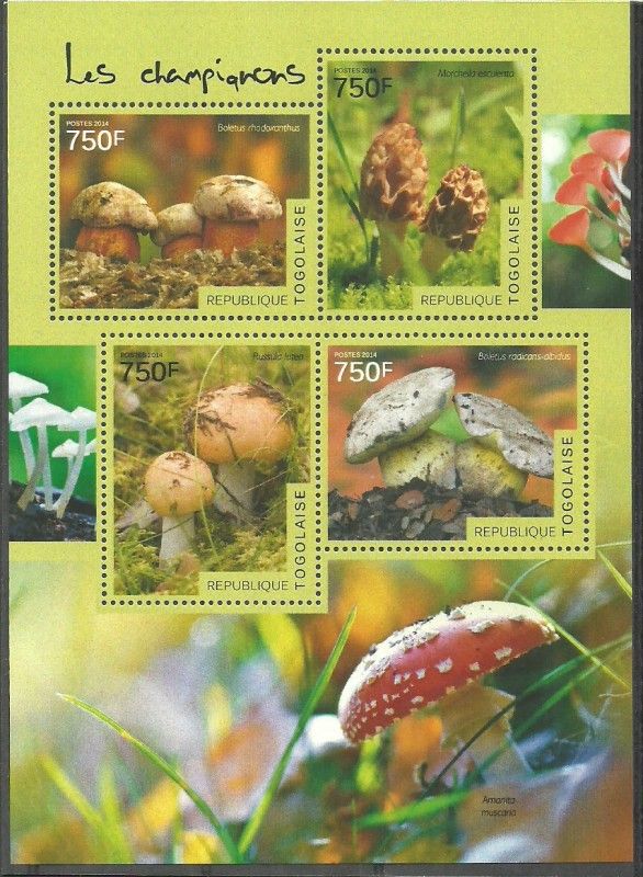 Znaczek Togo 2014 Mi ark 6101-6104 Czyste **