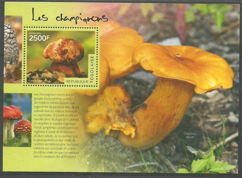 Znaczek Togo 2014 Mi bl 1041 Czyste **