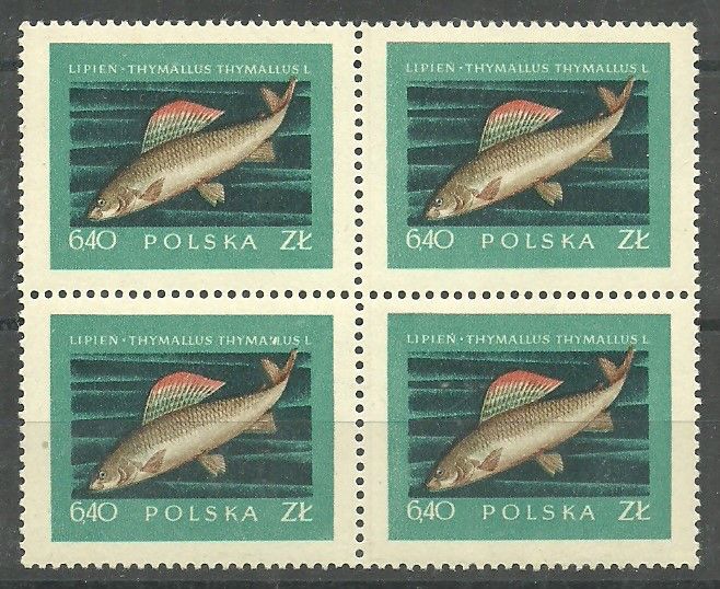 Znaczek Polska 1958 Mi 1055 Fi 910 Czyste **