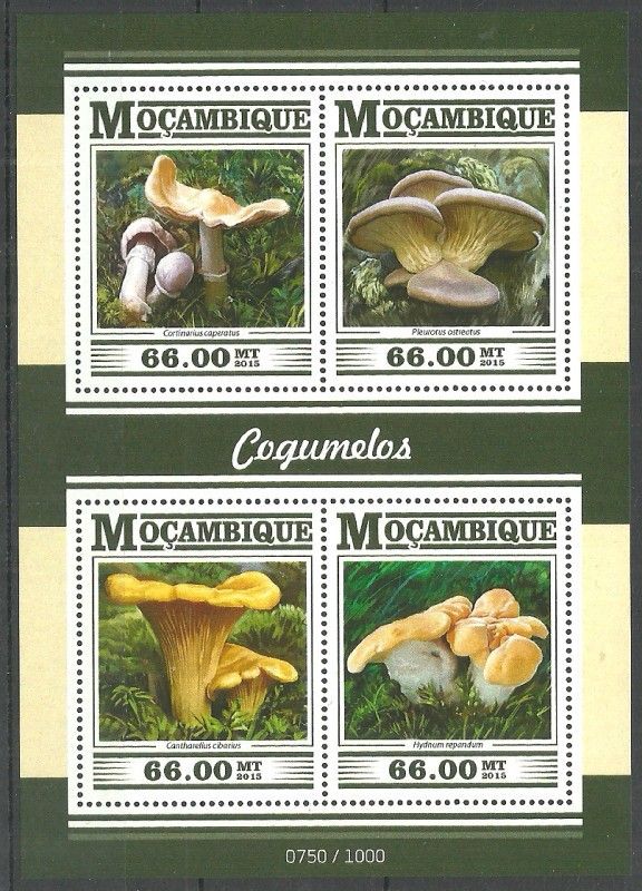 Znaczek Mozambik 2015 Mi ark 7989-7992 Czyste **