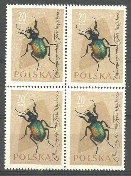 Znaczek Polska 1961 Mi 1277 Fi 1132 Czyste **