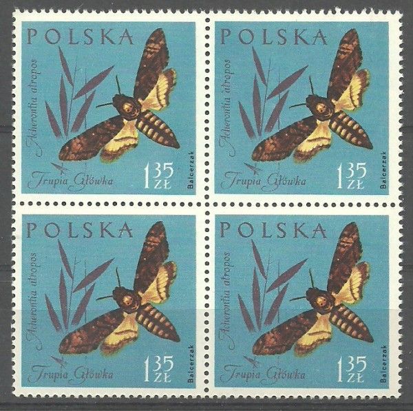 Znaczek Polska 1961 Mi 1284 Fi 1139 Czyste **