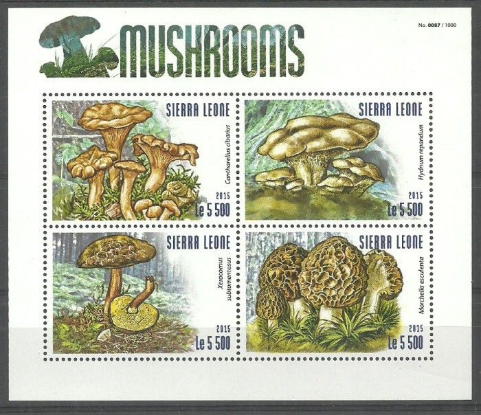 Znaczek Sierra Leone 2015 Mi ark 6312-6315 Czyste **