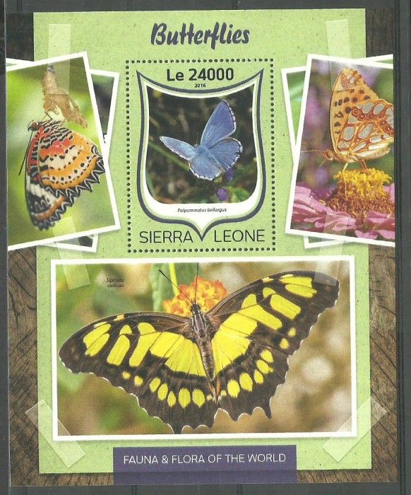 Znaczek Sierra Leone 2016 Mi bl 1040 Czyste **