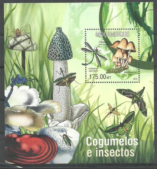 Znaczek Mozambik 2013 Mi bl 768 Czyste **