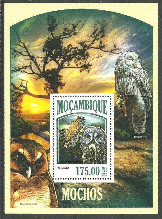 Znaczek Mozambik 2013 Mi bl 803 Czyste **
