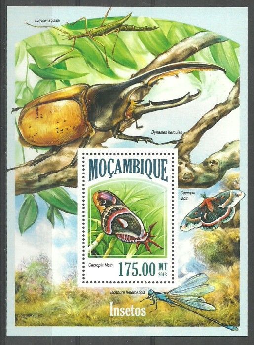 Znaczek Mozambik 2013 Mi bl 829 Czyste **