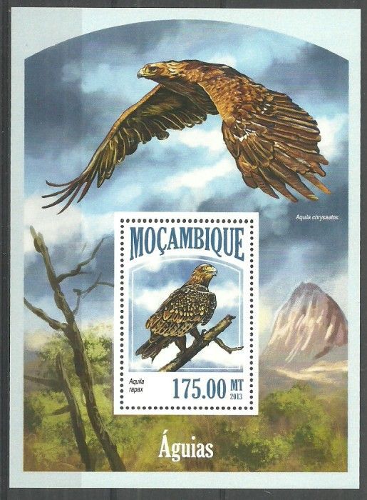 Znaczek Mozambik 2013 Mi bl 831 Czyste **