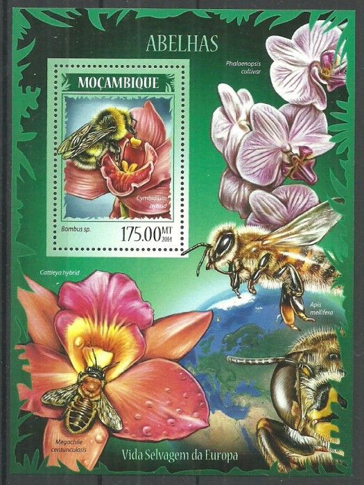 Znaczek Mozambik 2014 Mi bl 890 Czyste **