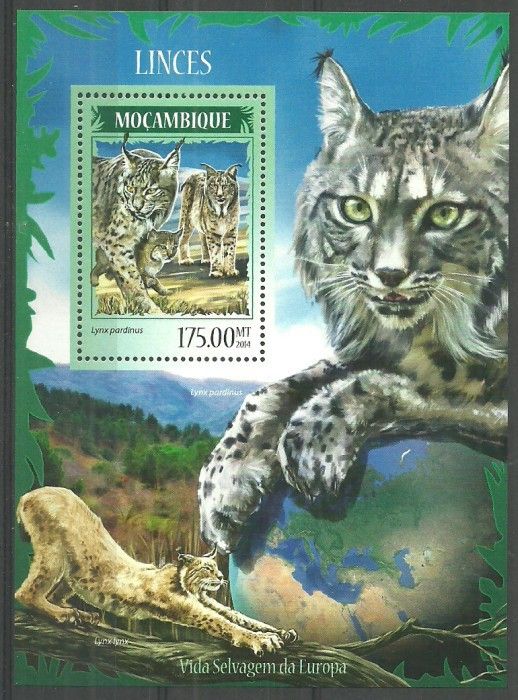 Znaczek Mozambik 2014 Mi bl 912 Czyste **