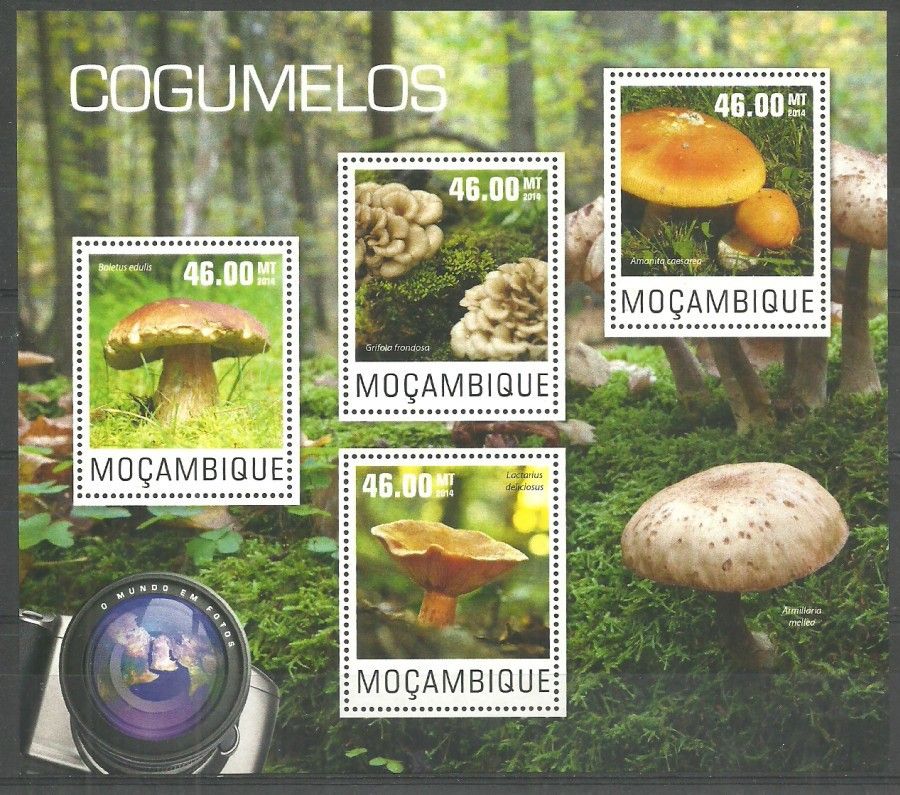 Znaczek Mozambik 2014 Mi ark 7545-7548 Czyste **