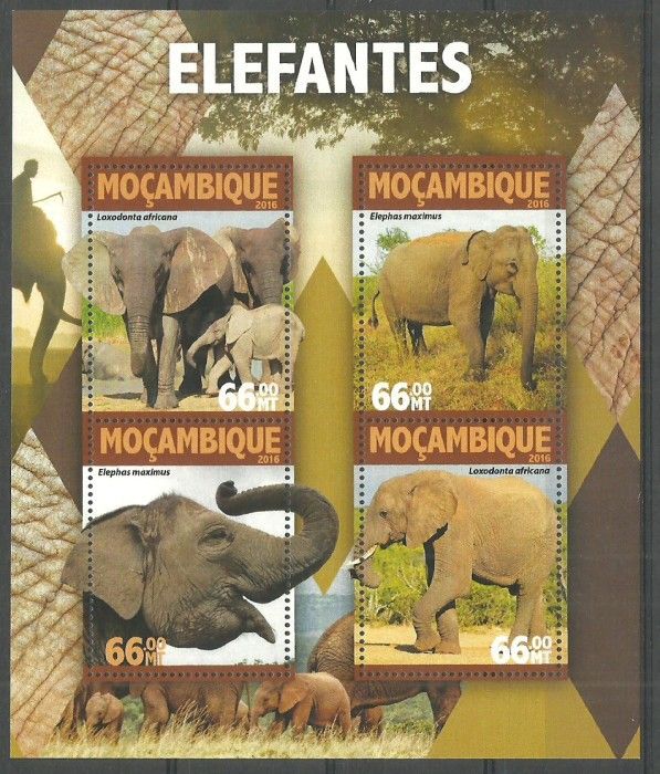 Znaczek Mozambik 2016 Mi ark 8349-8352 Czyste **