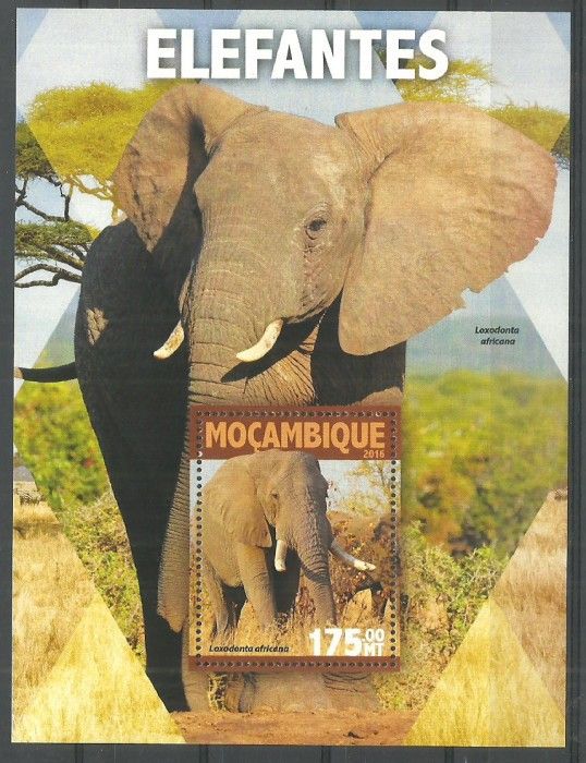 Znaczek Mozambik 2016 Mi bl 1110 Czyste **