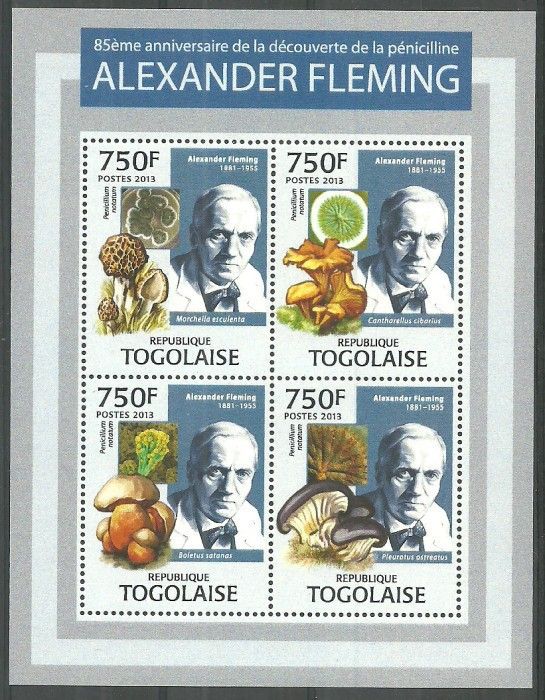 Znaczek Togo 2013 Mi ark 4966-4969 Czyste **