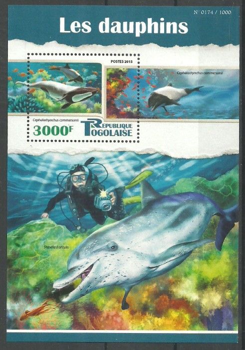 Znaczek Togo 2015 Mi bl 1223 Czyste **