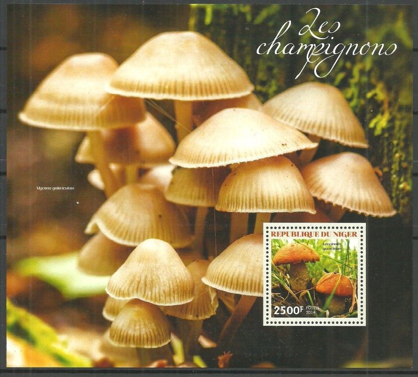 Znaczek Niger 2014 Mi bl 326 Czyste **