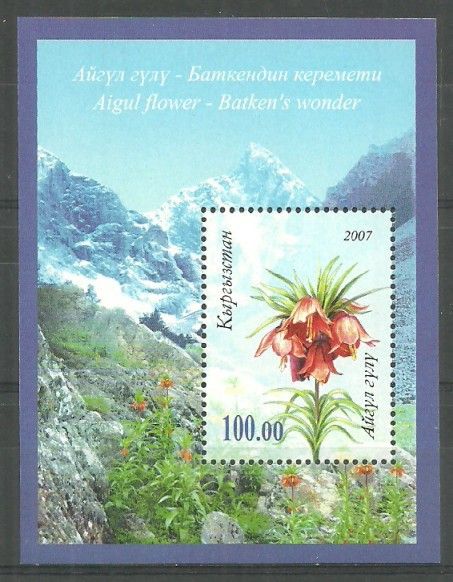Znaczek Kirgistan 2007 Mi bl 495 Czyste **
