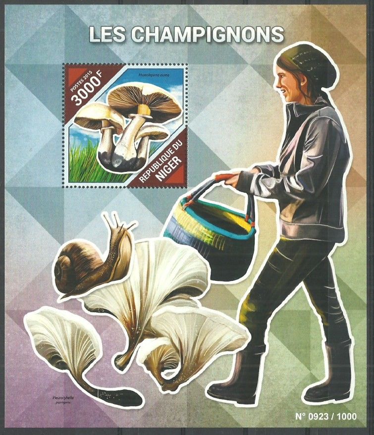 Znaczek Niger 2015 Mi bl 476 Czyste **