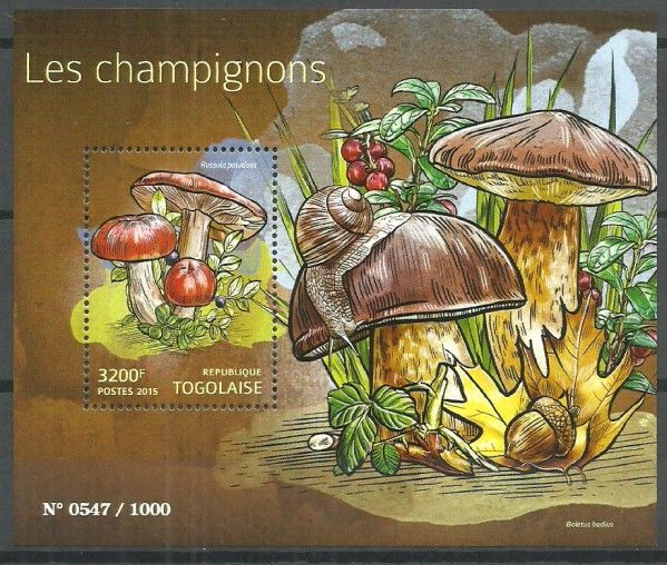 Znaczek Togo 2015 Mi bl 1189 Czyste **