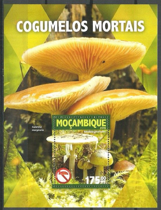 Znaczek Mozambik 2016 Mi bl 1101 Czyste **