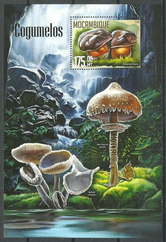 Znaczek Mozambik 2016 Mi bl 1128 Czyste **