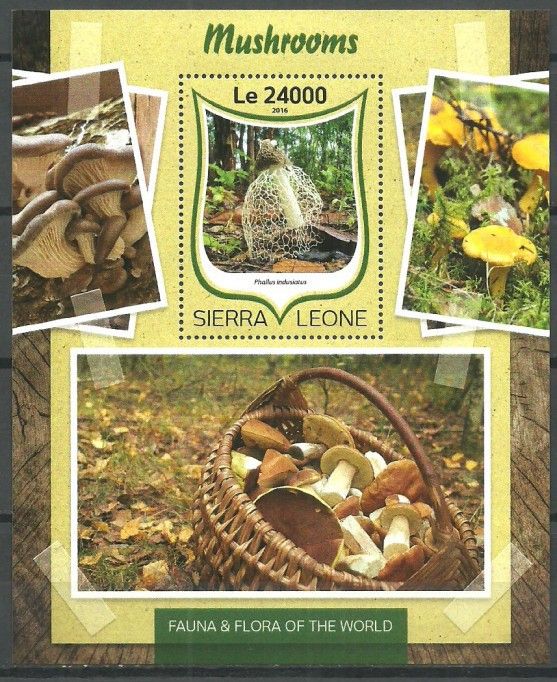 Znaczek Sierra Leone 2016 Mi bl 1035 Czyste **