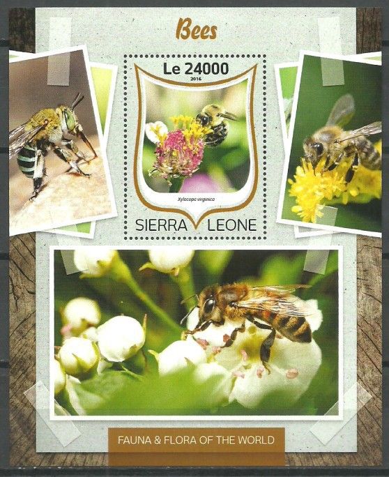 Znaczek Sierra Leone 2016 Mi bl 1039 Czyste **