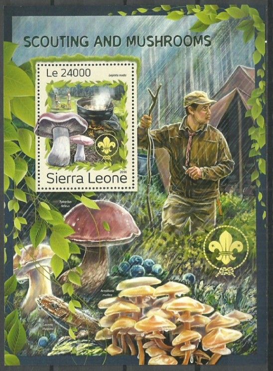 Znaczek Sierra Leone 2016 Mi bl 1115 Czyste **