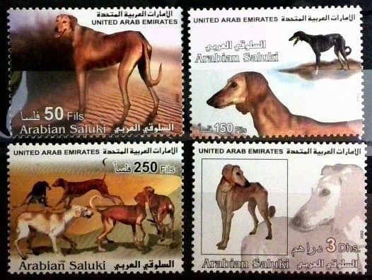Znaczek Zjednoczone Emiraty Arabskie 2002 Mi 675-678 Czyste **