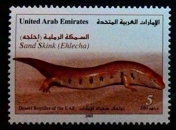 Znaczek Zjednoczone Emiraty Arabskie 2005 Mi 797 Czyste **
