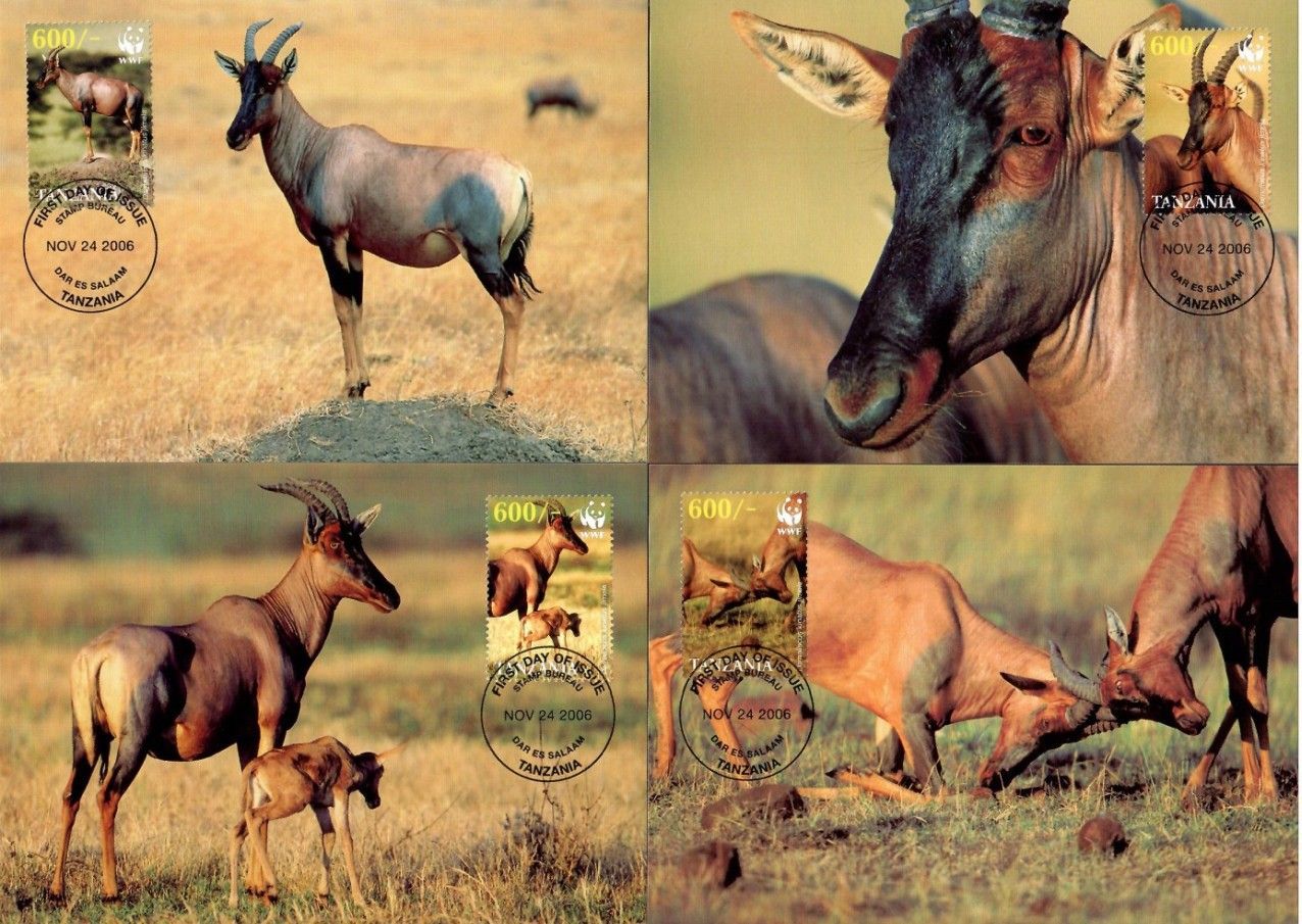 Znaczek Tanzania 2006 Mi 4433-4436 Karta Max