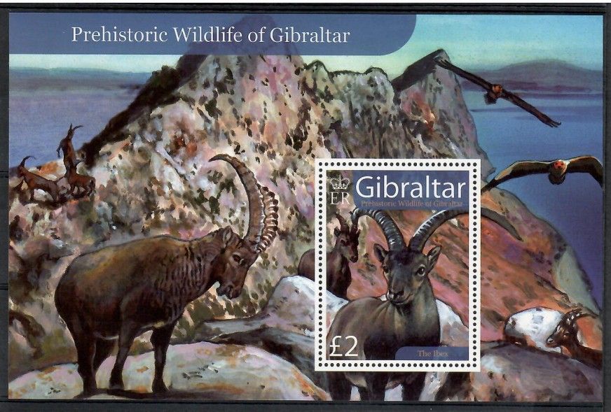 Znaczek Gibraltar 2007 Mi bl 80 Czyste **