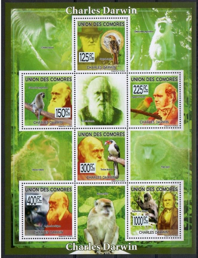 Znaczek Komory 2009 Mi ark 2224-2229 Czyste **