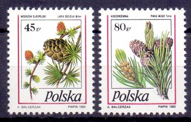 Znaczek Polska 1995 Mi 3530-3531 Fi 3382-3383 Czyste **