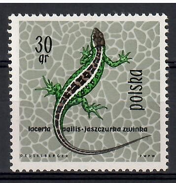 Znaczek Polska 1963 Mi 1393 Fi 1245 Czyste **