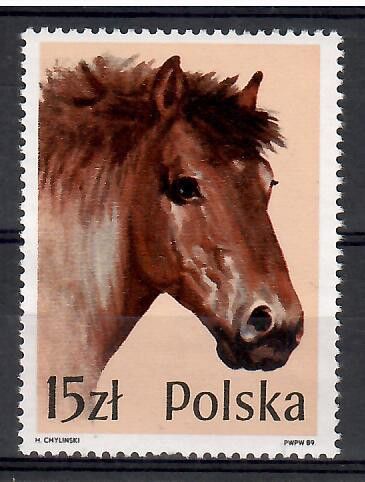 Znaczek Polska 1989 Mi 3191 Fi 3043 Czyste **
