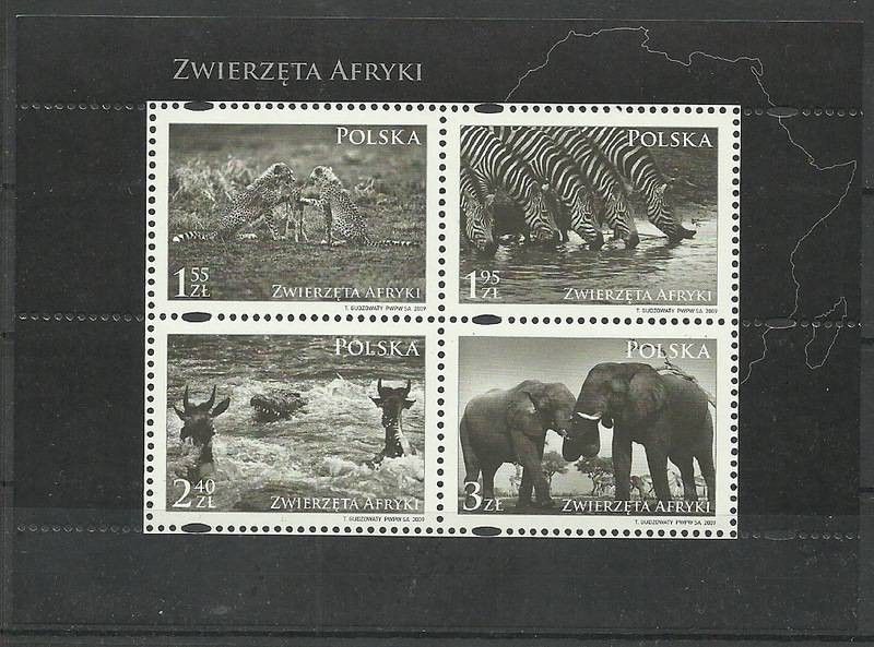 Znaczek Polska 2009 Mi bl 186 Fi bl 217 Czyste **