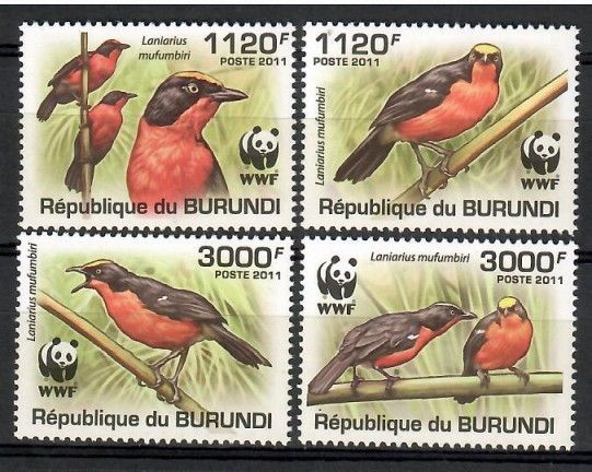 Znaczek Burundi 2011 Mi 2126-2129a Czyste **