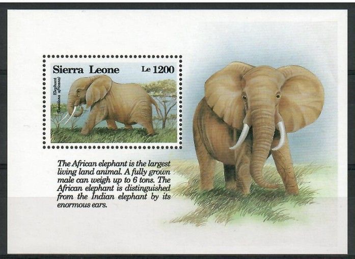 Znaczek Sierra Leone 1993 Mi bl 228 Czyste **