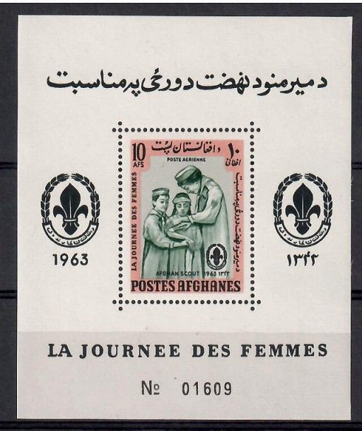 Znaczek Afganistan 1964 Mi bl 50 Czyste **
