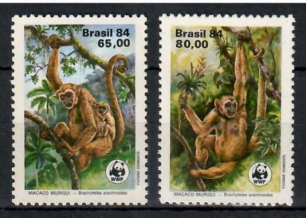 Znaczek Brazylia 1984 Mi 2052-2053 Czyste **