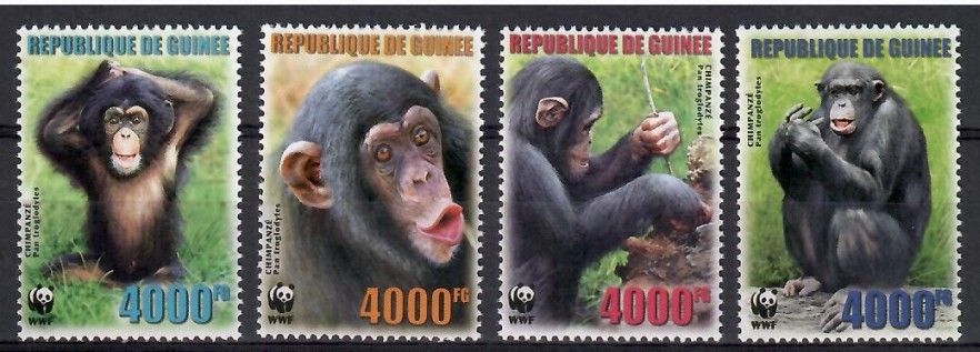 Znaczek Gwinea 2006 Mi 4222-4225 Czyste **