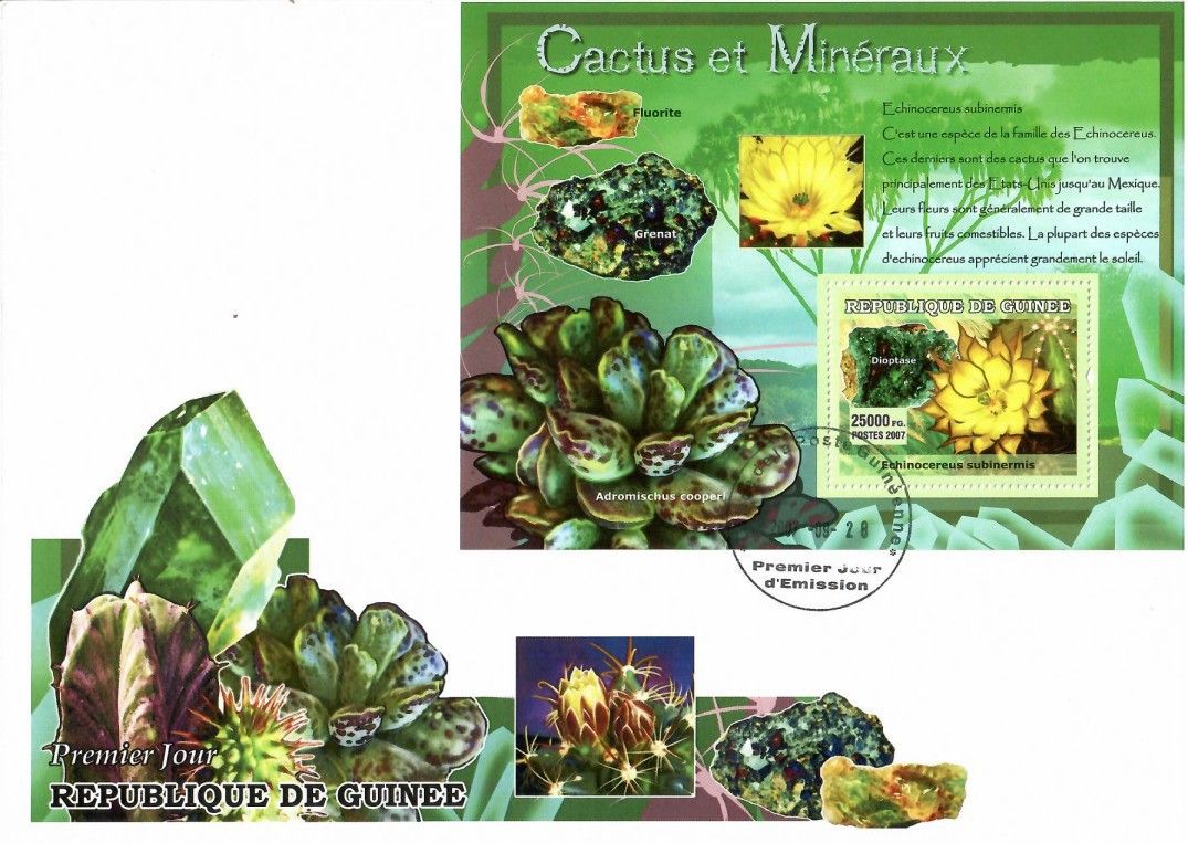Znaczek Gwinea 2007 Mi bl 1211 FDC