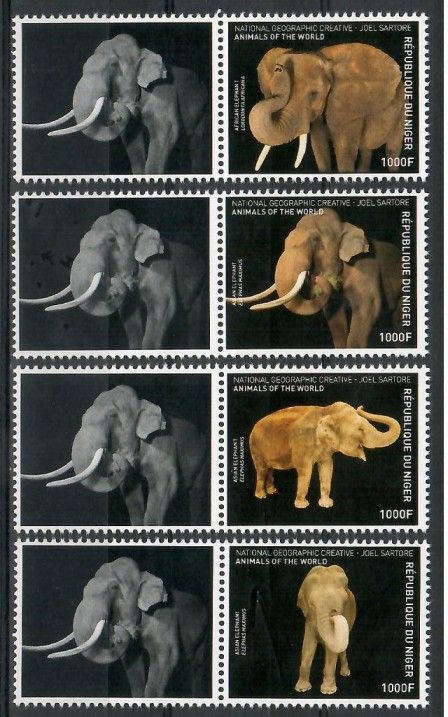 Znaczek Niger 2016 Mi 4717-4720 Czyste **
