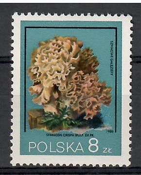 Znaczek Polska 1980 Mi 2679 Fi 2549 Czyste **