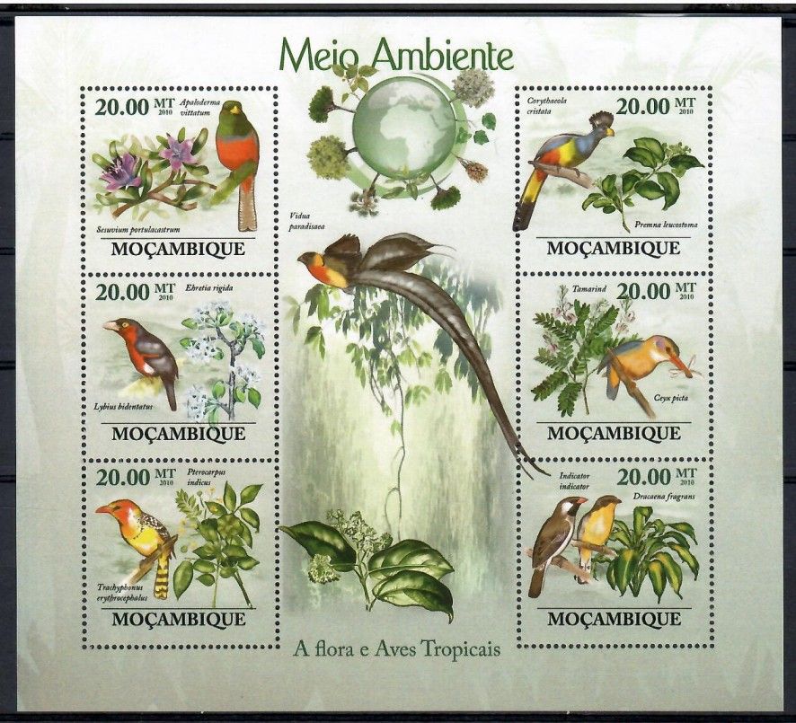 Znaczek Mozambik 2010 Mi ark 3489-3494 Czyste **