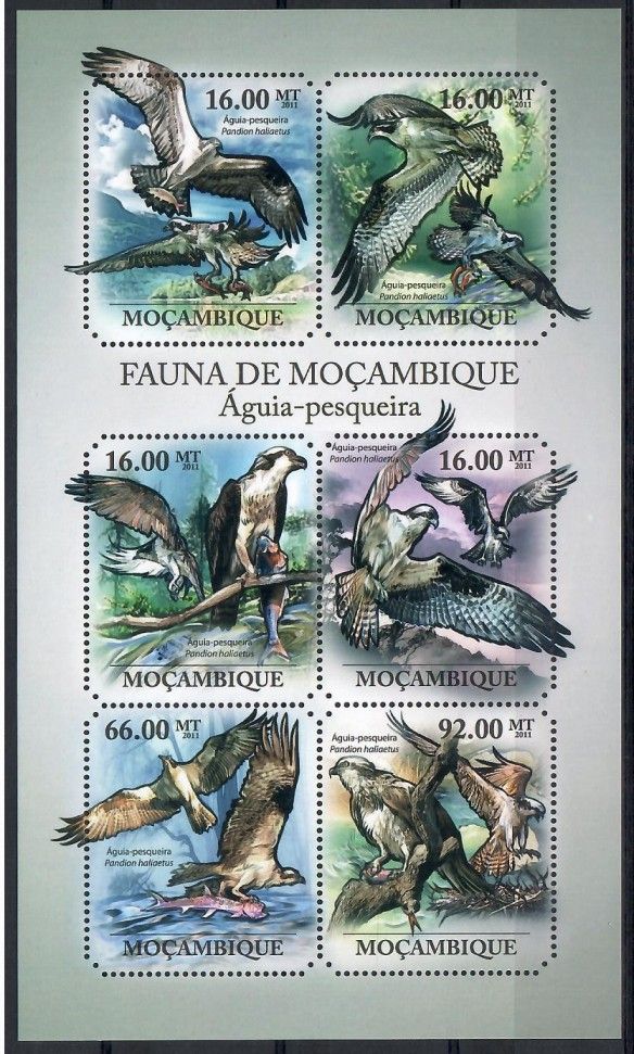 Znaczek Mozambik 2011 Mi ark 4917-4922 Czyste **