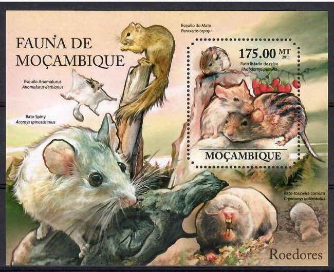 Znaczek Mozambik 2011 Mi bl 507 Czyste **