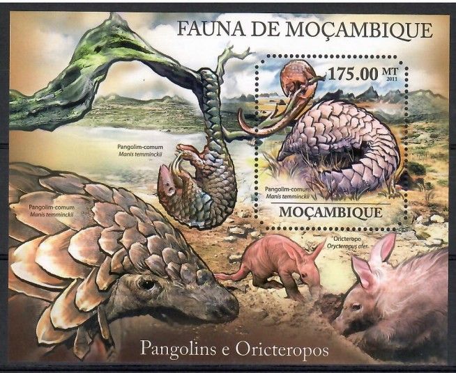 Znaczek Mozambik 2011 Mi bl 511 Czyste **