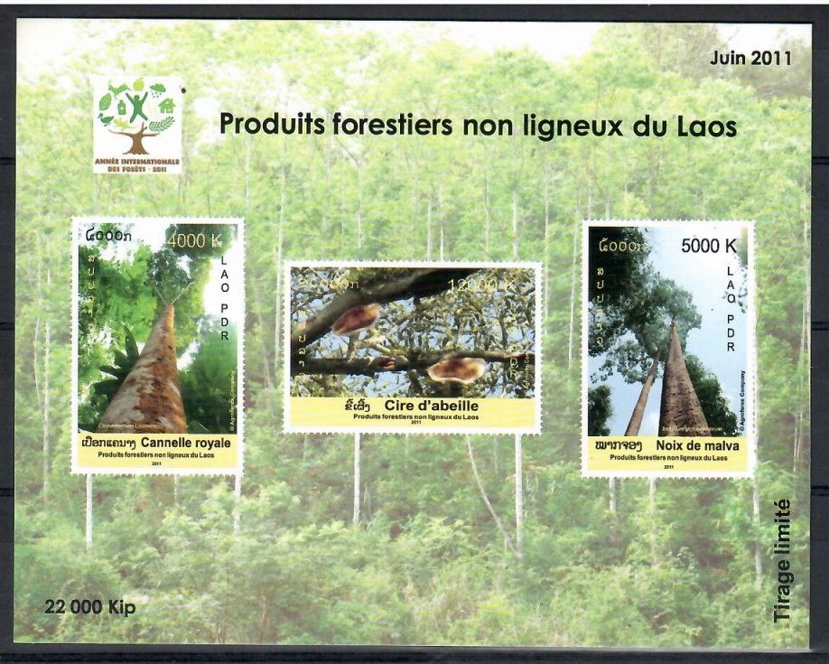 Znaczek Laos 2011 Mi bl 233 Czyste **